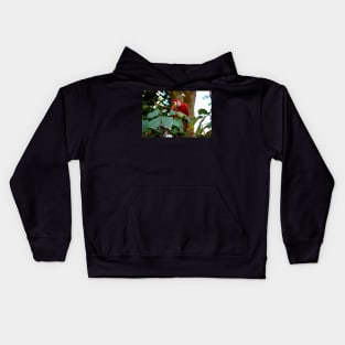 Grand perroquet, site de Copán Ruinas au Honduras Kids Hoodie